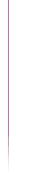 An illustrative representation of a cross-section of skin, identifying the top level (epidermis and epidermal-dermal junction). The next level down is the dermis with the subcutaneous tissue under the dermis.