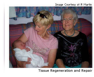 Photo of a baby, mother and grandmother with the text 'Tissue Regeneration and Repair' underneath