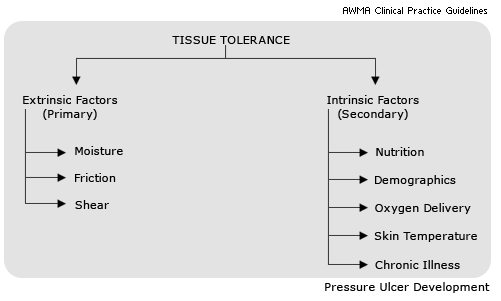 Pressure Ulcer Chart